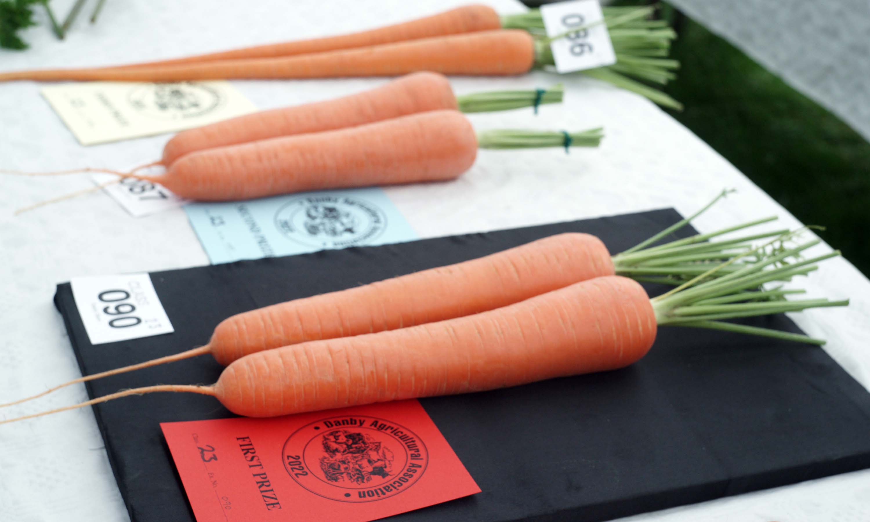 Danby Show Photo by David Eadington
